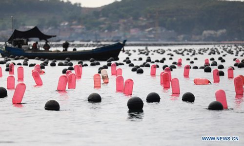 Fishermen work on an aquafarm at Changhai County in Dalian, northeast China's Liaoning Province, July 8, 2019. Fishermen here are busy collecting scallops and fish as the harvest season comes recently.(Photo: Xinhua)