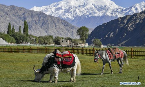 Xinjiang's Tajik receives 554,100 visits in H1 - Global Times
