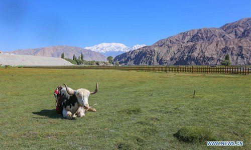 Xinjiang's Tajik receives 554,100 visits in H1 - Global Times