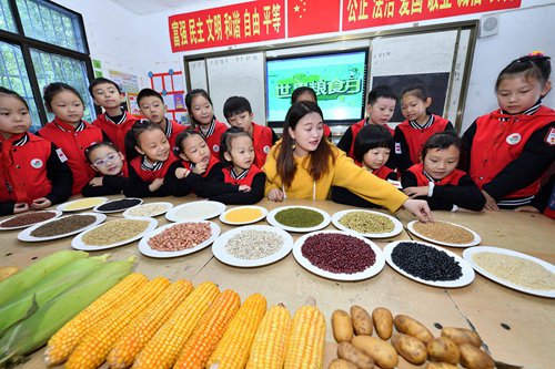 A teacher helps primary school students in Baokang county, Central China's Hubei Province identify different grains. This is part of activities nationwide to raise students' awareness of protecting food ahead of World Food Day, which falls on Wednesday. Photo: VCG 