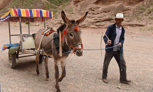 A farewell to donkeys in rural China - Global Times