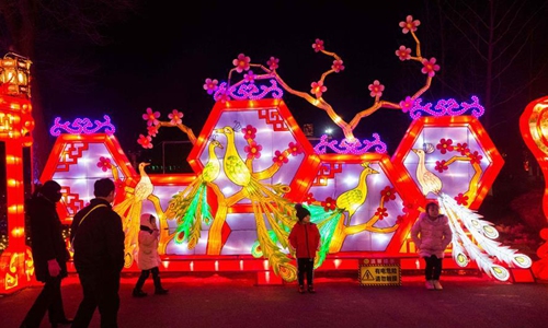 Lantern fair greeting upcoming Spring Festival held in Weifang City ...