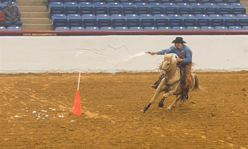 Fort Worth Stock Show and Rodeo held in Texas - Global Times