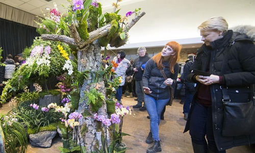 Orchid show held at Toronto Botanical Garden - Global Times