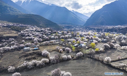 Spring scenery of Tibet - Global Times