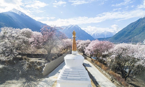 Spring scenery of Tibet - Global Times