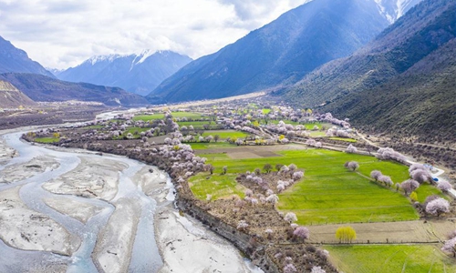 Spring scenery of Tibet - Global Times