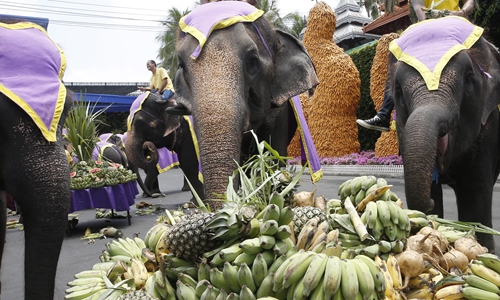 Thailand S Tourist Elephants Face Crisis Amid Covid 19 Global Times