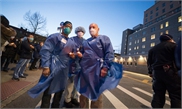 Central Park: peaceful port in New York’s coronavirus storm - Global Times