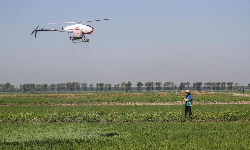 Unmanned aerial vehicles put into use for spraying pesticide in Yingkou ...