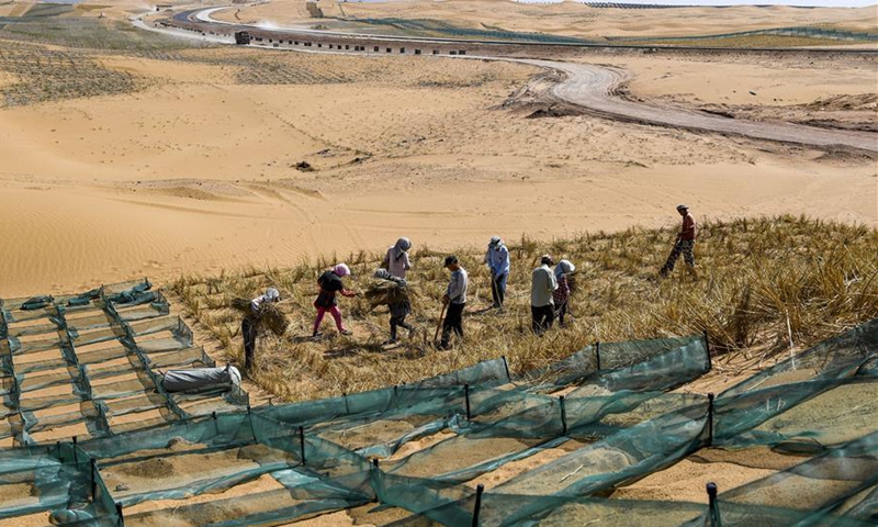 Pracownicy kontroli pustynnienia wykonują słomiane barierki w szachownicę na pustyni Tengger wzdłuż placu budowy odcinka Qingtongxia-Zhongwei autostrady Wuhai-Maqin w regionie autonomicznym Ningxia Hui w północno-zachodnich Chinach, 7 września 2020 r. Odcinek Qingtongxia-Zhongwei w Wuhai- Autostrada Maqin jest w budowie, z czego 18-kilometrowy odcinek przechodzący przez pustynię Tengger jest pierwszą pustynną autostradą w Ningxia.  Zespół kontrolujący pustynnienie pracował wzdłuż budowy autostrady, używając słomianych barierek w szachownicę i sadząc roślinność, aby powstrzymać wydmy przed przesuwaniem się lub rozszerzaniem.  (Xinhua/Feng Kaihua)