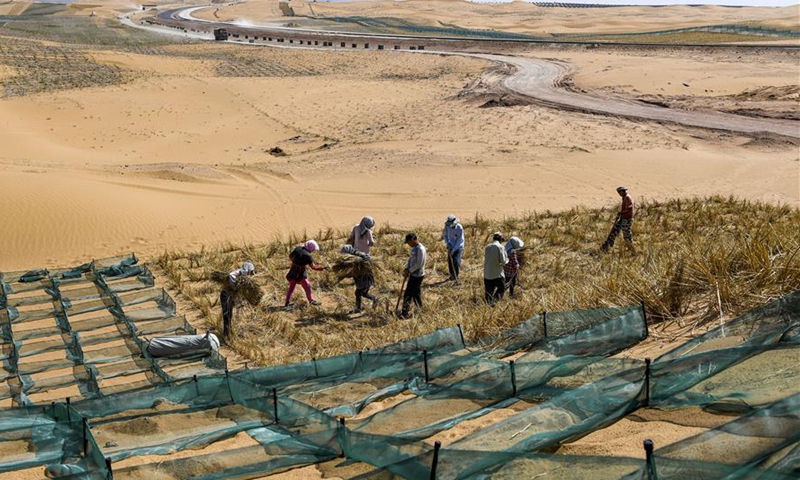 Desertification control workers make straw checkerboard barriers in the Tengger Desert along the construction site of the Qingtongxia-Zhongwei section of the Wuhai-Maqin highway in northwest China's Ningxia Hui Autonomous Region, Sept. 7, 2020. The Qingtongxia-Zhongwei section of the Wuhai-Maqin highway is under construction, of which an 18-kilometer-long section going through the Tengger Desert is the first desert highway in Ningxia. A desertification control team has worked along the highway construction site, using straw checkerboard barriers and planting vegetation to stop the dunes from moving or expanding. (Xinhua/Feng Kaihua)