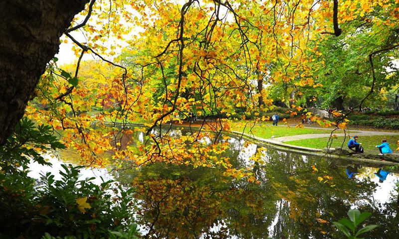 Autumn scenery in Dublin, Ireland - Global Times