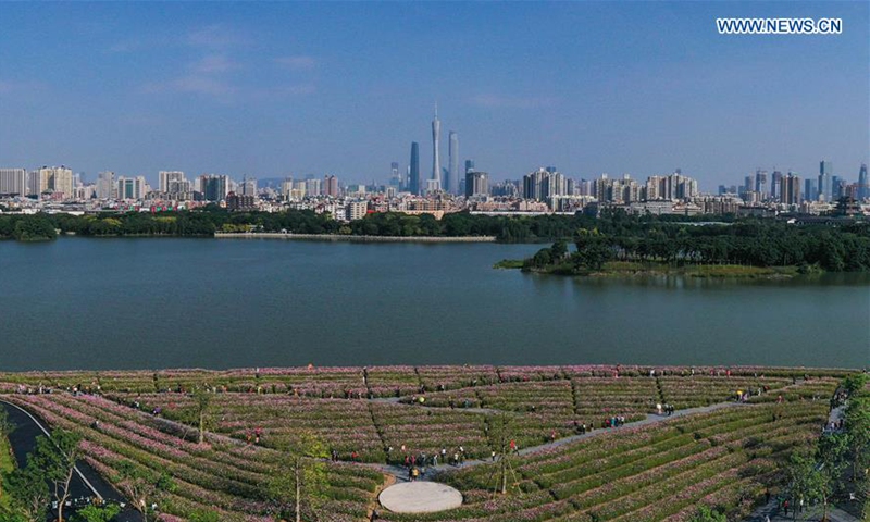 Haizu Tourists view cosmos flowers at Haizhu Wetland Park in Guangzhou ...