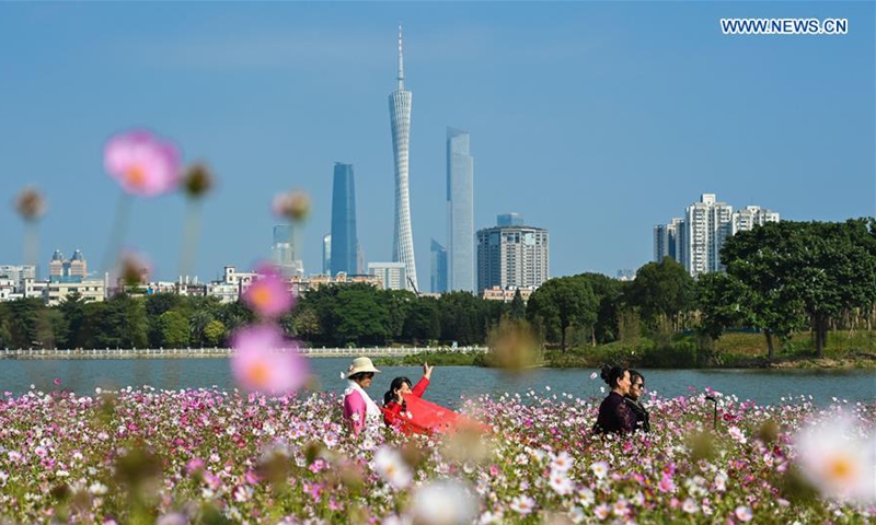 Haizu Tourists view cosmos flowers at Haizhu Wetland Park in Guangzhou ...