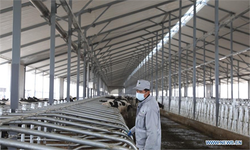 Chinese localities step up efforts to support dairy farmers amid tough market conditions