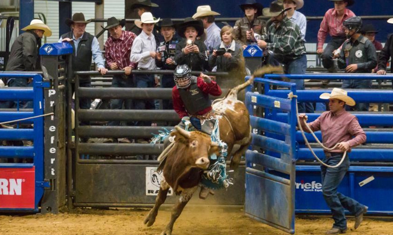 2020 World Finals for International Miniature Bull Rider competition ...