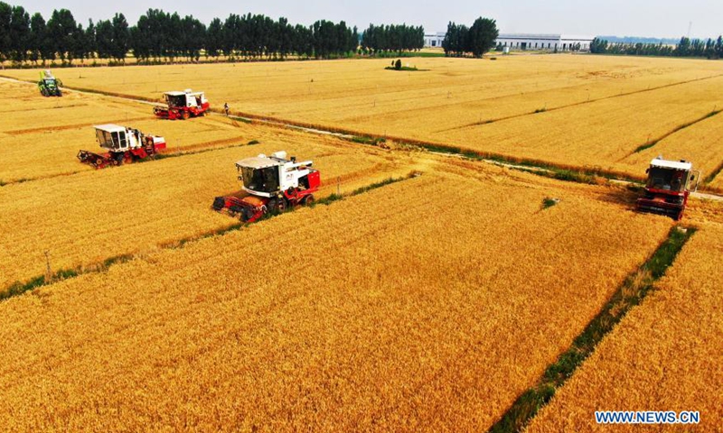 Aerial photo taken on June 12, 2020 shows farmers operating harvesters in wheat fields in Dafu Village, Xixindian Township, Botou City of north China's Hebei Province. China's grain output reached nearly 670 billion kg in 2020, up 5.65 billion kg, or 0.9 percent, from last year, the National Bureau of Statistics (NBS) said on Thursday. This marks the sixth consecutive year that the country's total grain production has exceeded 650 billion kg. The bumper harvest comes despite disrupted farming as a result of the COVID-19 epidemic, which has been held in check thanks to efforts to ensure the transportation of agricultural materials and strengthen farming management.Photo:Xinhua
