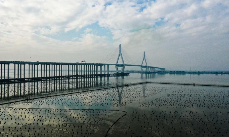 Chaoshan loop expressway opens to traffic - Global Times