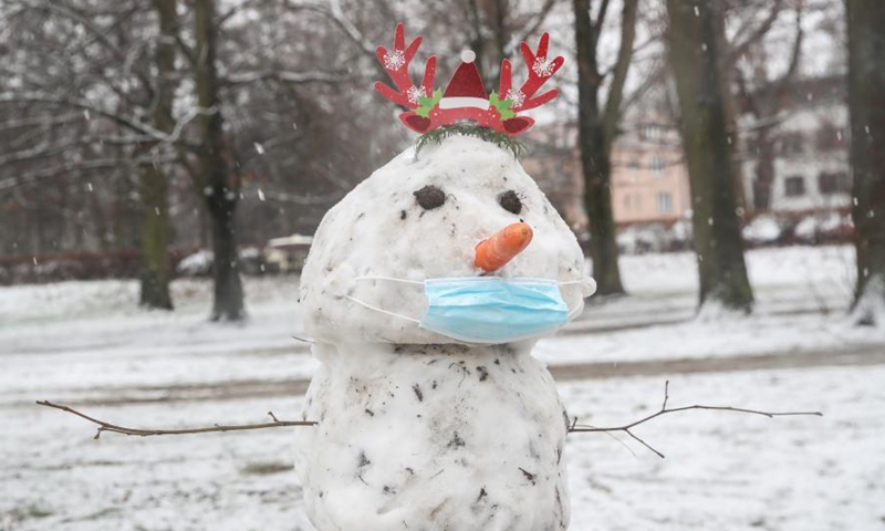 Winter scenery at snow-covered park in Berlin - Global Times