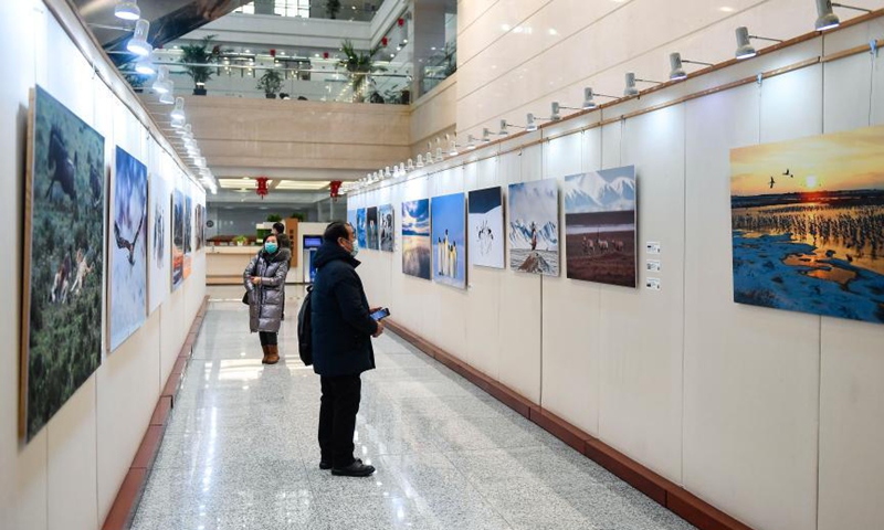 Wildlife photography exhibition kicks off at Jinlin Province Library -  Global Times