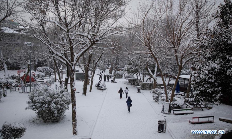 snowfall disrupts land sea traffic in turkey s istanbul global times