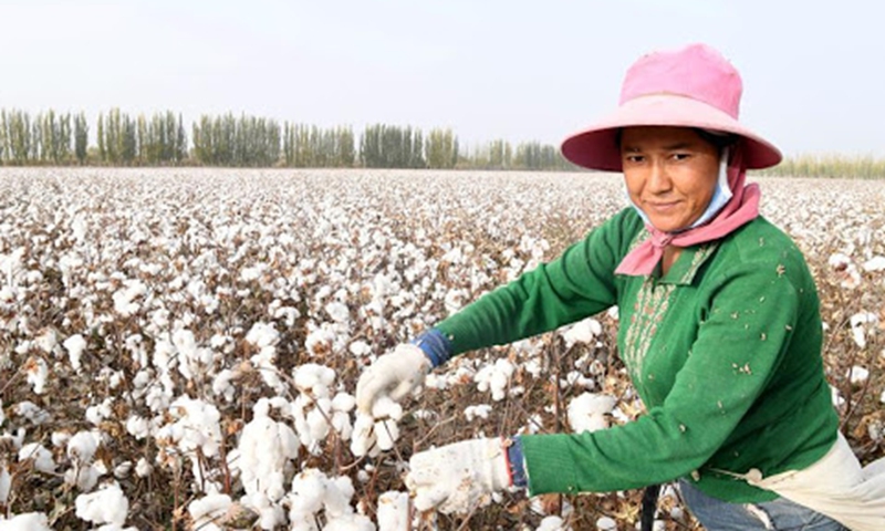 Xinjiang Cotton