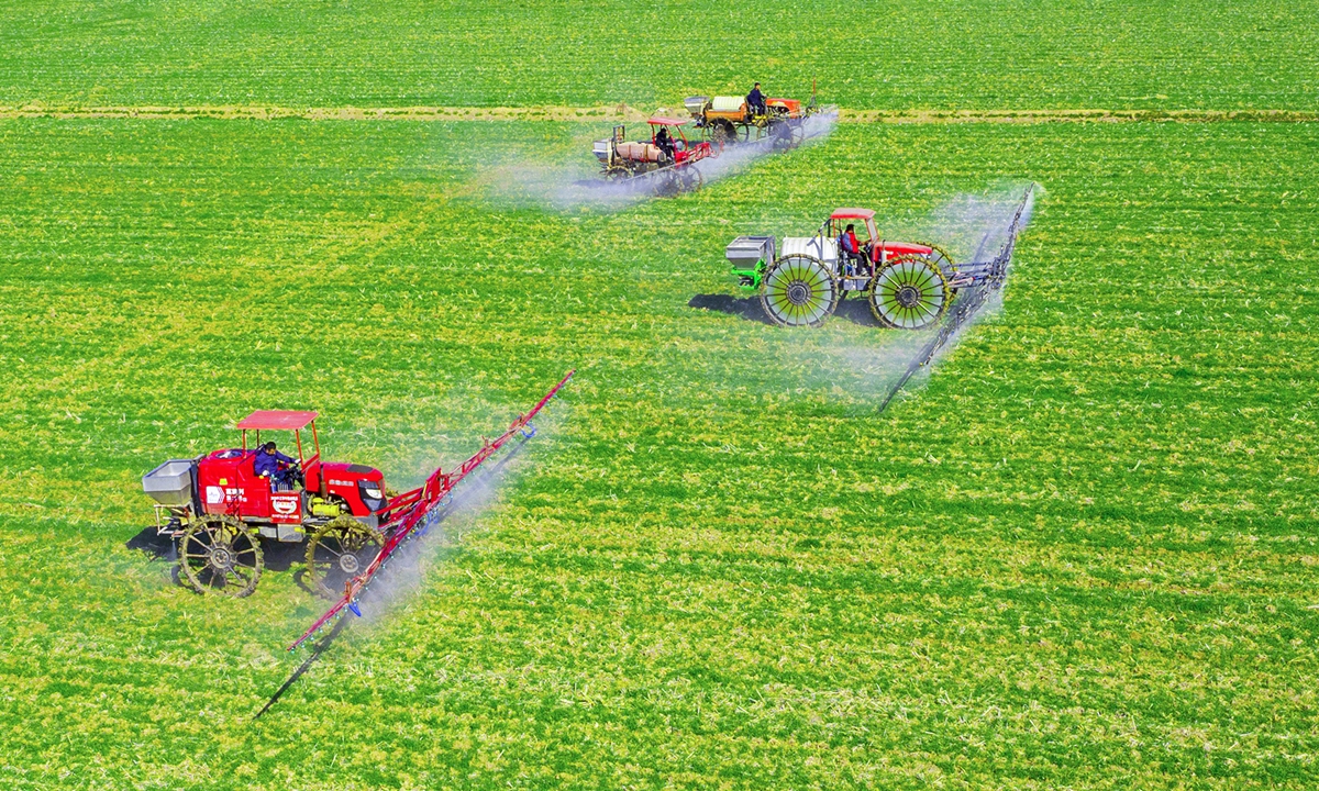 Farmers run tractors through wheat fields in Suqian, East China's Jiangsu Province on Thursday, right after the weeklong Spring Festival holiday. Around China, 22 million tractors and various types of specialized agricultural machinery are at the ready, according to the Ministry of Agriculture and Rural Affairs. Photo: VCG