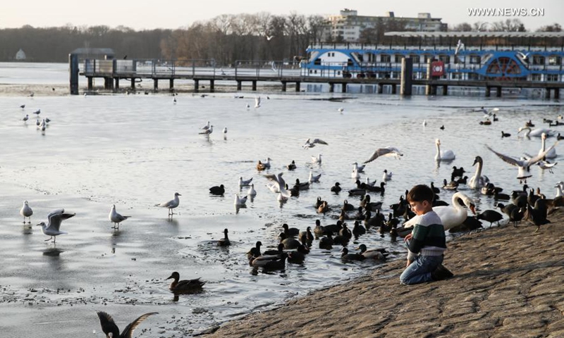 A boy watches birds by the Lake Tegel covered with thin ice in Berlin, capital of Germany, Feb. 25, 2021. (Xinhua/Shan Yuqi)  