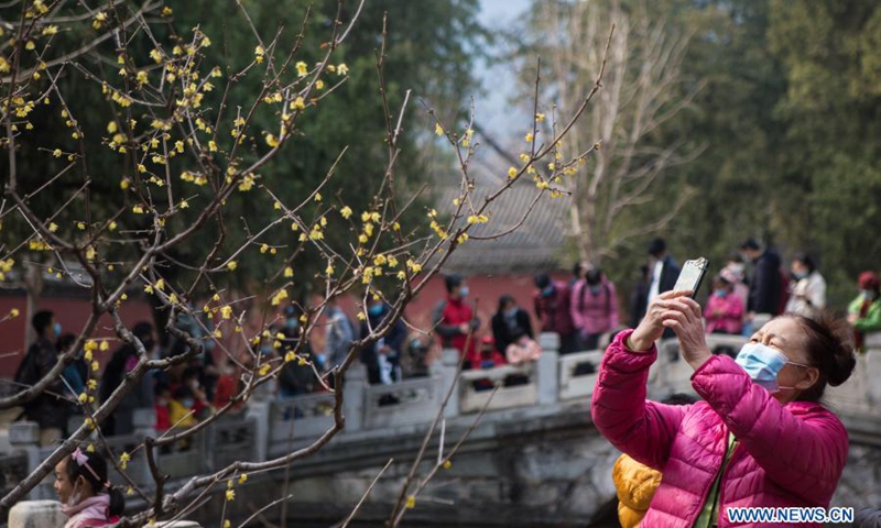 A visitor takes photos of wintersweet at Wofo Temple in Beijing, Capital of China, Feb. 27, 2021.(Photo: Xinhua)