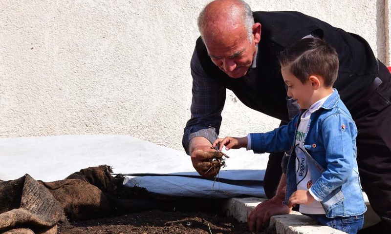 Farmer Hassan Khalifa shows a worm to his grandchild at his worm farm in the countryside of the capital Damascus, Syria on Feb. 25, 2021. The 65-year-old farmer Hassan Khalifa has developed an obsession a decade ago to raise worms to produce organic fertilizers, the first such project in Syria. (Photo: Xinhua)