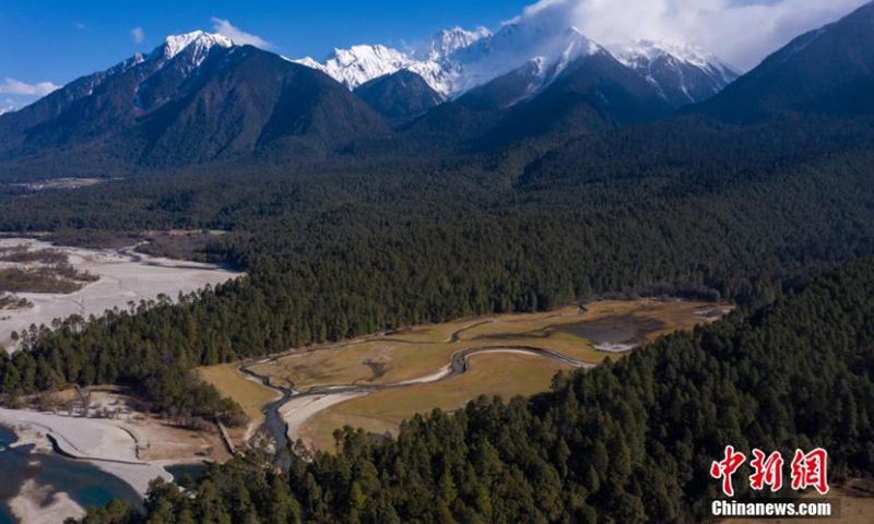 Photo shows the landscape of spruce forest in Bomi country of Nyingchi, southwest China's Tibet Autonomous Region. With an area of 4,600 hectares, the forest covers 61 percent of the area. It was listed as a coniferous nature reserve in 1984. (Photo: ecns.cn)