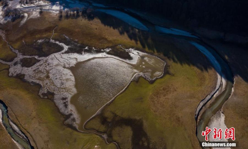 Photo shows the landscape of spruce forest in Bomi country of Nyingchi, southwest China's Tibet Autonomous Region. With an area of 4,600 hectares, the forest covers 61 percent of the area. It was listed as a coniferous nature reserve in 1984. (Photo: ecns.cn)