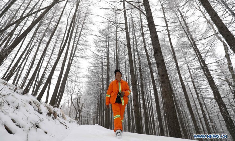 Rong Ximin patrols at Tuoliang National Nature Reserve, north China's Hebei Province, Feb. 28, 2021. Rong Ximin, a ranger of Yunding Grassland in Tuoliang National Nature Reserve, came to work in the reserve with his wife Shi Shufang in 2009. Photo:Xinhua