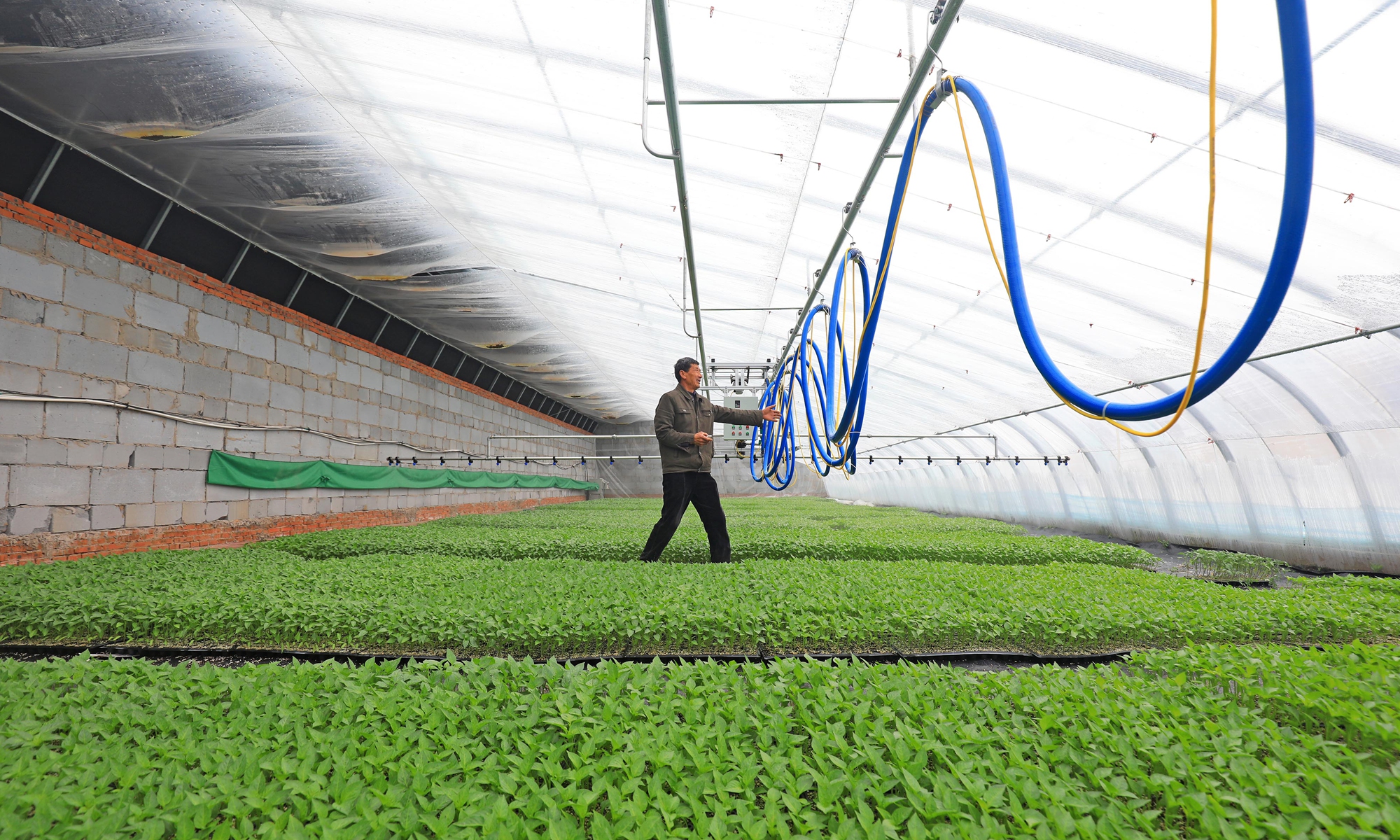 A farmer adjusts equipment in a smart greenhouse in Tangshan, North China's Hebei Province on Tuesday. The greenhouse is used for breeding vegetable seedlings. Photo: VCG