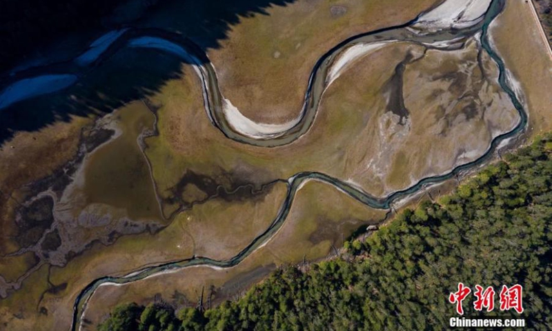Photo shows the landscape of spruce forest in Bomi country of Nyingchi, southwest China's Tibet Autonomous Region. With an area of 4,600 hectares, the forest covers 61 percent of the area. It was listed as a coniferous nature reserve in 1984. (Photo: ecns.cn)