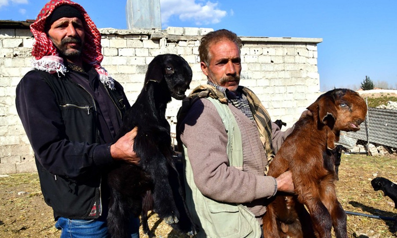 Two Syrian shepherds show the weird-looking Damascus goats, described as one of the ugliest animals on earth, at a farm in the Syrian capital of Damascus, on Feb. 28, 2021.(Photo: Xinhua)