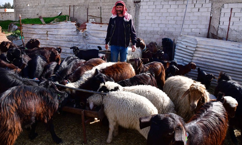 A Syrian shepherd takes care of his goats at a farm in the countryside of Syrian capital of Damascus, on Feb. 28, 2021. (Photo: Xinhua)