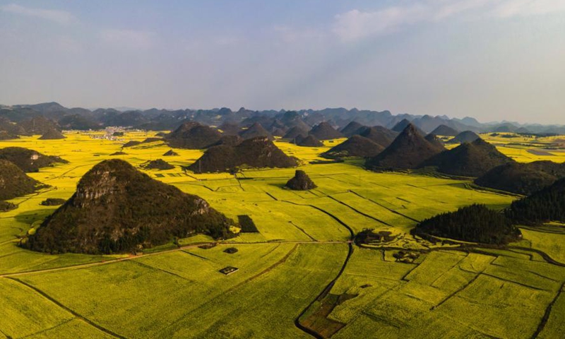 Aerial photo taken on March 2, 2021 shows the cole flower fields at a scenic area in Luoping County, southwest China's Yunnan Province.Photo:Xinhua