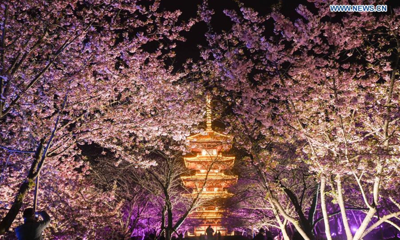 Photo taken on March 3, 2021 shows a night view of blooming cherry blossoms by the East Lake in Wuhan, central China's Hubei Province. The cherry blossom festival kicked off in Wuhan on Wednesday, welcoming frontliners who fought in Hubei to aid local COVID-19 pandemic control efforts in 2020.(Photo: Xinhua)