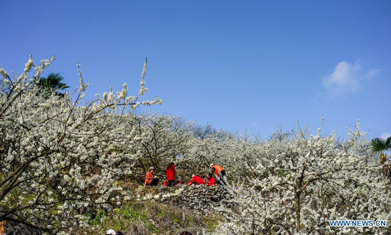 People view the early spring scenery at Yinhe Village of Yubei District, southwest China's Chongqing, March 4, 2021.  Photo:Xinhua