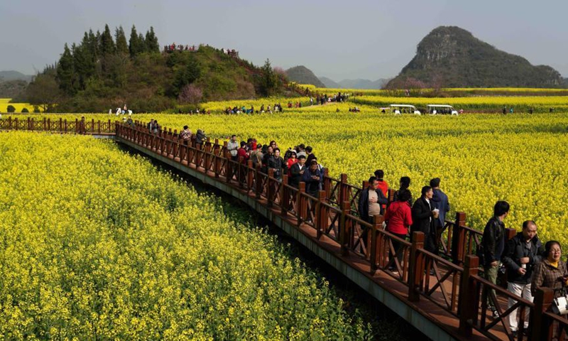 3月4日，游客在云南省罗平县的一座桥上参观油菜花田。图片：中国新闻社