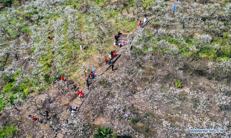 Aerial photo taken on March 4, 2021 shows people view the early spring scenery at Yinhe Village of Yubei District, southwest China's Chongqing.   Photo:Xinhua