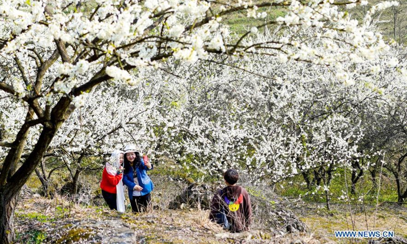 People view the early spring scenery at Yinhe Village of Yubei District, southwest China's Chongqing, March 4, 2021.  Photo:Xinhua