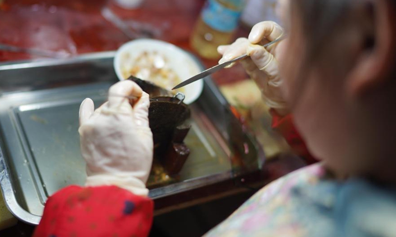 A worker inserts a nucleus into a mussel to form a pearl in a cultivation base in Tajiang Village of Wannian County, east China's Jiangxi Province, March 3, 2021. Photo:Xinhua