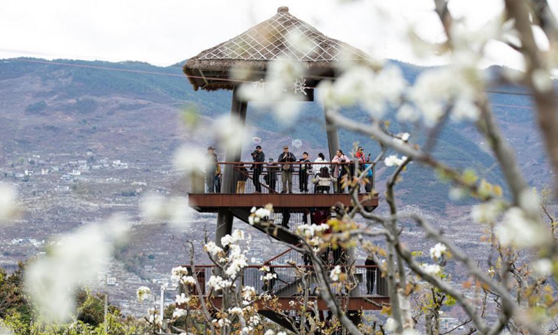 Tourists look at pear blossoms in full bloom in Sanqiang Village of Jiuxiang Township, Hanyuan County, southwest China's Sichuan Province, March 6, 2021.Photo:Xinhua