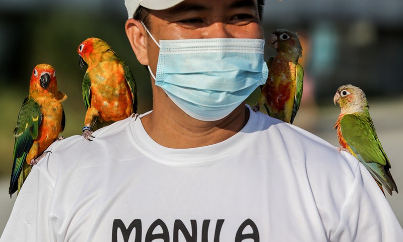 Parrots perch on the shoulders of a avian enthusiast as he trains his parrots in Manila, the Philippines on March 7, 2021. (Photo: Xinhua)