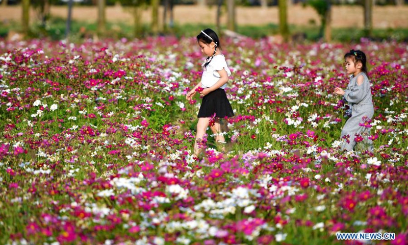 Kids walk on a lane amid blooming flowers in Haikou, south China's Hainan Province, March 6, 2021.(Photo: Xinhua)