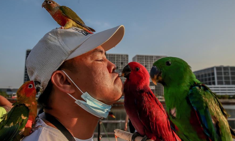 A member of the Manila All-Star Free Flight, a group of avian enthusiasts, feeds a seed to his pet parrot through his mouth during a free flight activity in Manila, the Philippines on March 7, 2021. Manila All-Star Free Flight aims to teach pet parrots the freedom of flight for their pet's mental and physical health. (Xinhua/Rouelle Umali)