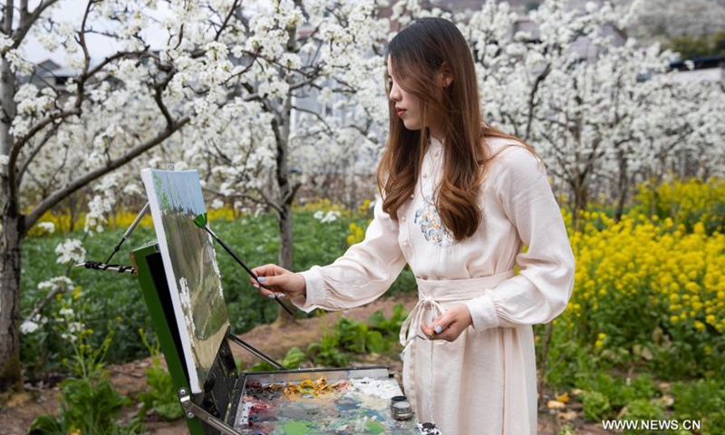 A local teacher draws oil painting amid blooming pear blossoms in Datian Village of Jiuxiang Township, Hanyuan County, southwest China's Sichuan Province, March 5, 2021.Photo:Xinhua